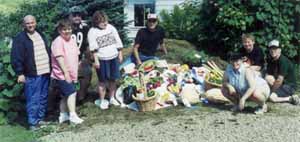 evergreen elm gardeners